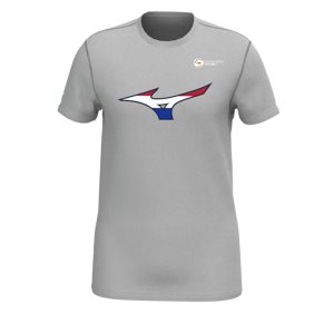 Mizuno Nevobo Nederland T-shirt Červené | CSWQG4921
