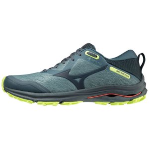 Mizuno Wave Rider Gtx | LCQVR5416